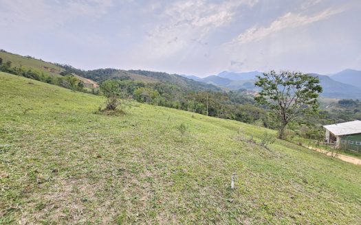 TVP 1351 – Lotes a Venda com Vista Para a Mata no Bairro Ponte Branca em Paraty RJ