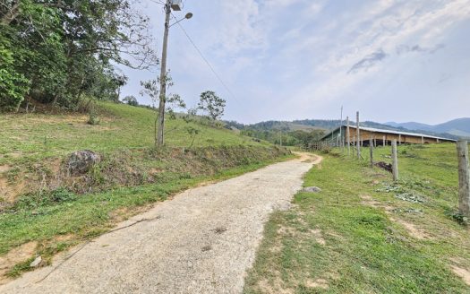 TVP 1351 – Lotes a Venda com Vista Para a Mata no Bairro Ponte Branca em Paraty RJ