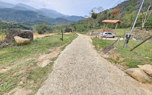 TVP 1351 – Lotes a Venda com Vista Para a Mata no Bairro Ponte Branca em Paraty RJ