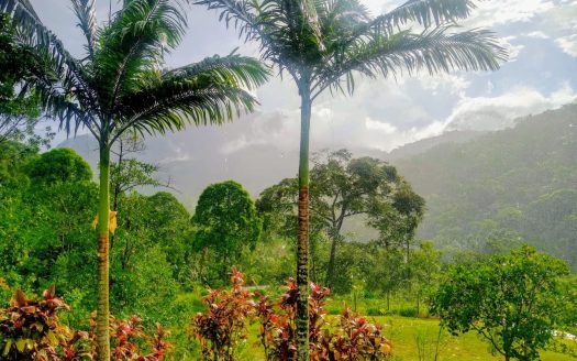 PVP 1340 – Linda Pousada a Venda no Bairro Patrimônio um Verdadeiro Paraíso