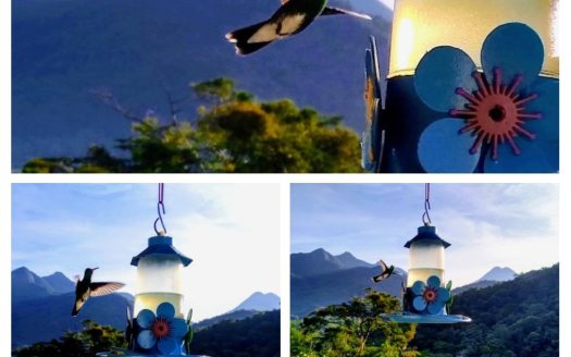 PVP 1340 – Linda Pousada a Venda no Bairro Patrimônio um Verdadeiro Paraíso