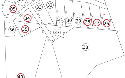 TVP 1351 – Lotes a Venda com Vista Para a Mata no Bairro Ponte Branca em Paraty RJ