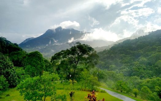 PVP 1340 – Linda Pousada a Venda no Bairro Patrimônio um Verdadeiro Paraíso