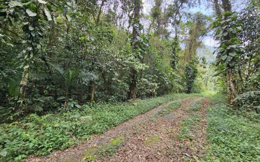 SVP 1361 – Belíssimo Sítio Com Cachoeiras e Nascentes no bairro Barra Grande