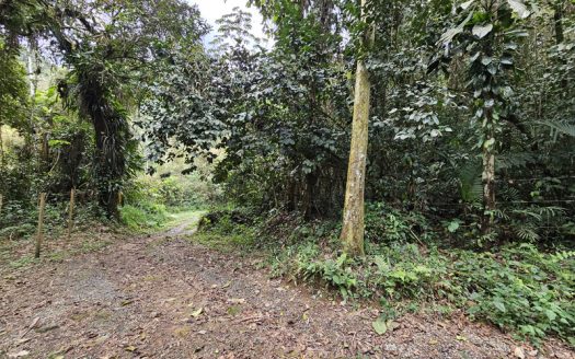 SVP 1361 – Belíssimo Sítio Com Cachoeiras e Nascentes no bairro Barra Grande