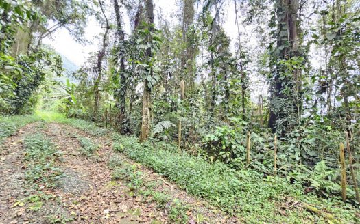 SVP 1361 – Belíssimo Sítio Com Cachoeiras e Nascentes no bairro Barra Grande