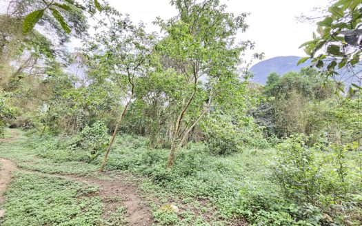 SVP 1361 – Belíssimo Sítio Com Cachoeiras e Nascentes no bairro Barra Grande