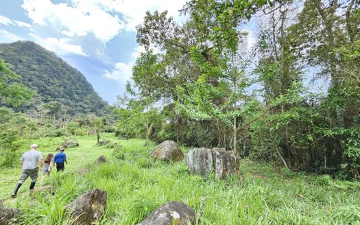 SVP 1361 – Belíssimo Sítio Com Cachoeiras e Nascentes no bairro Barra Grande