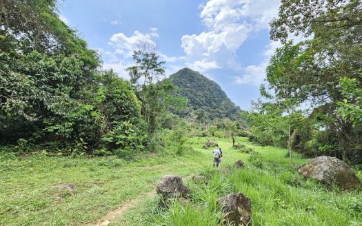 SVP 1361 – Belíssimo Sítio Com Cachoeiras e Nascentes no bairro Barra Grande