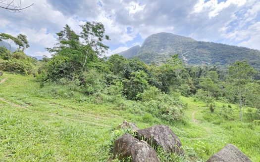 SVP 1361 – Belíssimo Sítio Com Cachoeiras e Nascentes no bairro Barra Grande