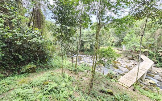 SVP 1361 – Belíssimo Sítio Com Cachoeiras e Nascentes no bairro Barra Grande