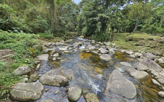 SVP 1361 – Belíssimo Sítio Com Cachoeiras e Nascentes no bairro Barra Grande