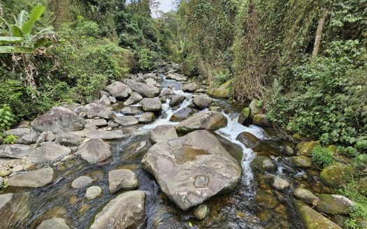 SVP 1361 – Belíssimo Sítio Com Cachoeiras e Nascentes no bairro Barra Grande