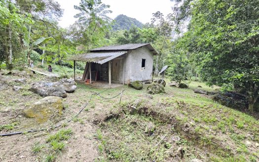 SVP 1361 – Belíssimo Sítio Com Cachoeiras e Nascentes no bairro Barra Grande