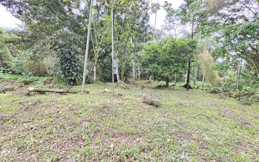 SVP 1361 – Belíssimo Sítio Com Cachoeiras e Nascentes no bairro Barra Grande