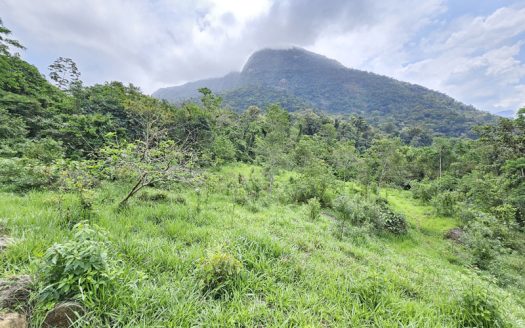 SVP 1361 – Belíssimo Sítio Com Cachoeiras e Nascentes no bairro Barra Grande
