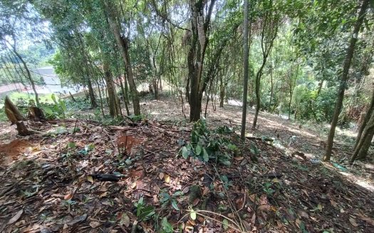 TVP LINDO TERRENO LOCALIZADO EM BAIRRO NOBRE DE PARATY RJ.