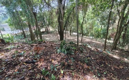 TVP LINDO TERRENO LOCALIZADO EM BAIRRO NOBRE DE PARATY RJ.