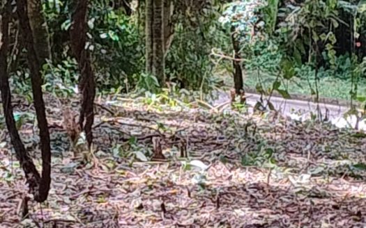 TVP LINDO TERRENO LOCALIZADO EM BAIRRO NOBRE DE PARATY RJ.