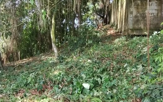 TVP LINDO TERRENO LOCALIZADO EM BAIRRO NOBRE DE PARATY RJ.