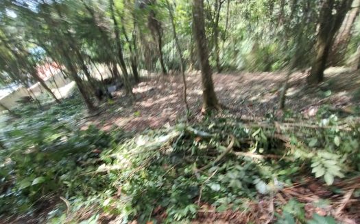 TVP LINDO TERRENO LOCALIZADO EM BAIRRO NOBRE DE PARATY RJ.