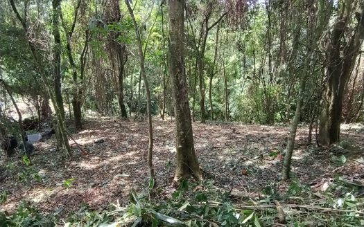 TVP LINDO TERRENO LOCALIZADO EM BAIRRO NOBRE DE PARATY RJ.